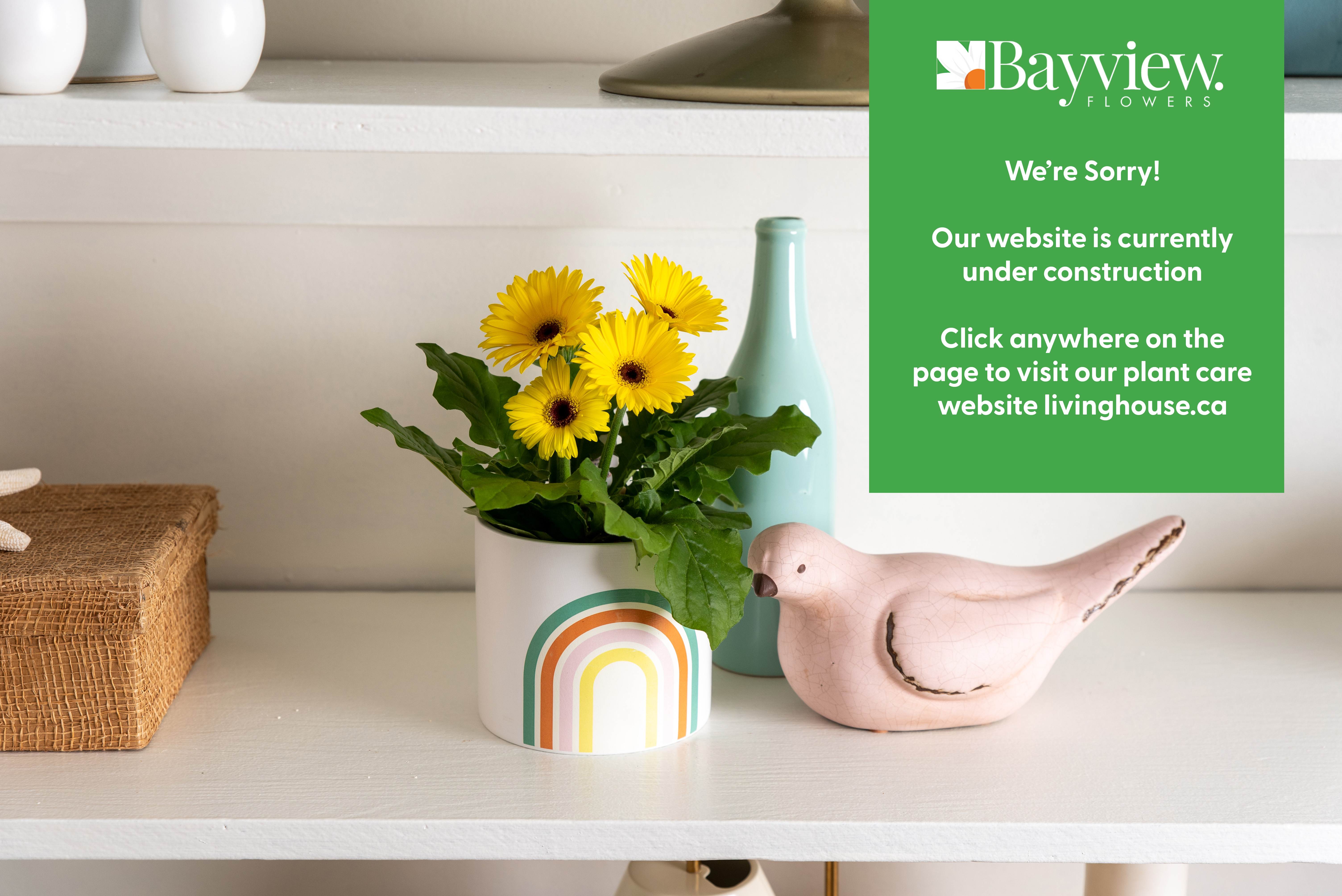 Bayview Flowers Ltd.